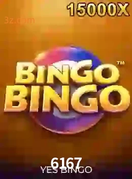 bingobingo